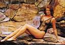 Angie Everhart 76