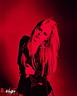 Avril Lavigne 245