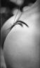 Candice Swanepoel 375