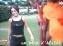 Alizee 263