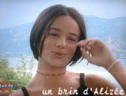 Alizee 313