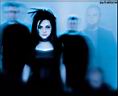 Amy Lee 20