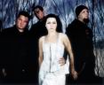 Amy Lee 43