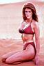 Angie Everhart 21
