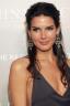 Angie Harmon 65