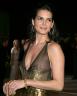 Angie Harmon 86