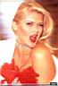 Anna Nicole Smith 141