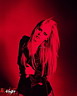 Avril Lavigne 245