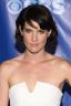 Cobie Smulders 29