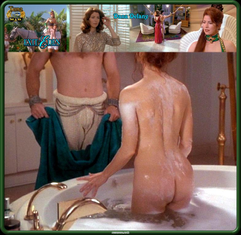 Aquí encontrareis fotos de Dana Delany desnuda, transparencias, posados... 