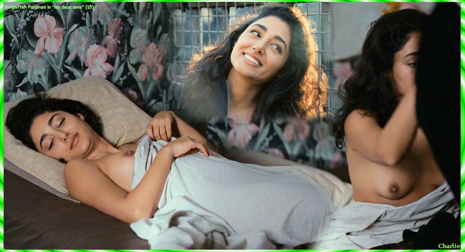 Aquí encontrareis fotos de Golshifteh Farahani desnuda, transparencias, pos...