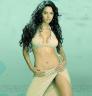 Mallika Sherawat 21