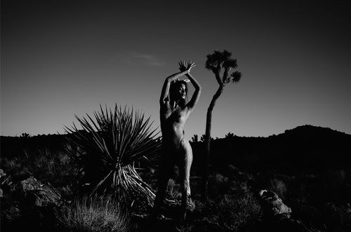 Aquí encontrareis fotos de Nathalie Kelley desnuda, transparencias, posados...