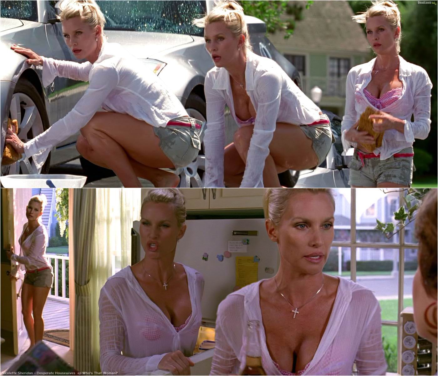 Fotos de Nicollette Sheridan desnuda - Página 2 - Fotos de Famosas.TK.