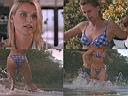 Nicollette Sheridan 41