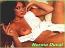 Norma Duval 22
