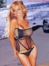 Pamela Anderson 562