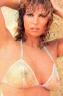 Raquel Welch 14