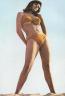 Raquel Welch 32