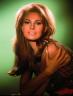 Raquel Welch 40