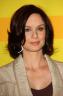 Sarah Wayne Callies 91