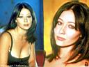 Shannen Doherty 182