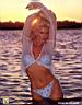 Victoria Silvstedt 519